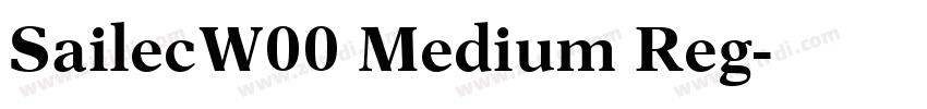 SailecW00 Medium Reg字体转换